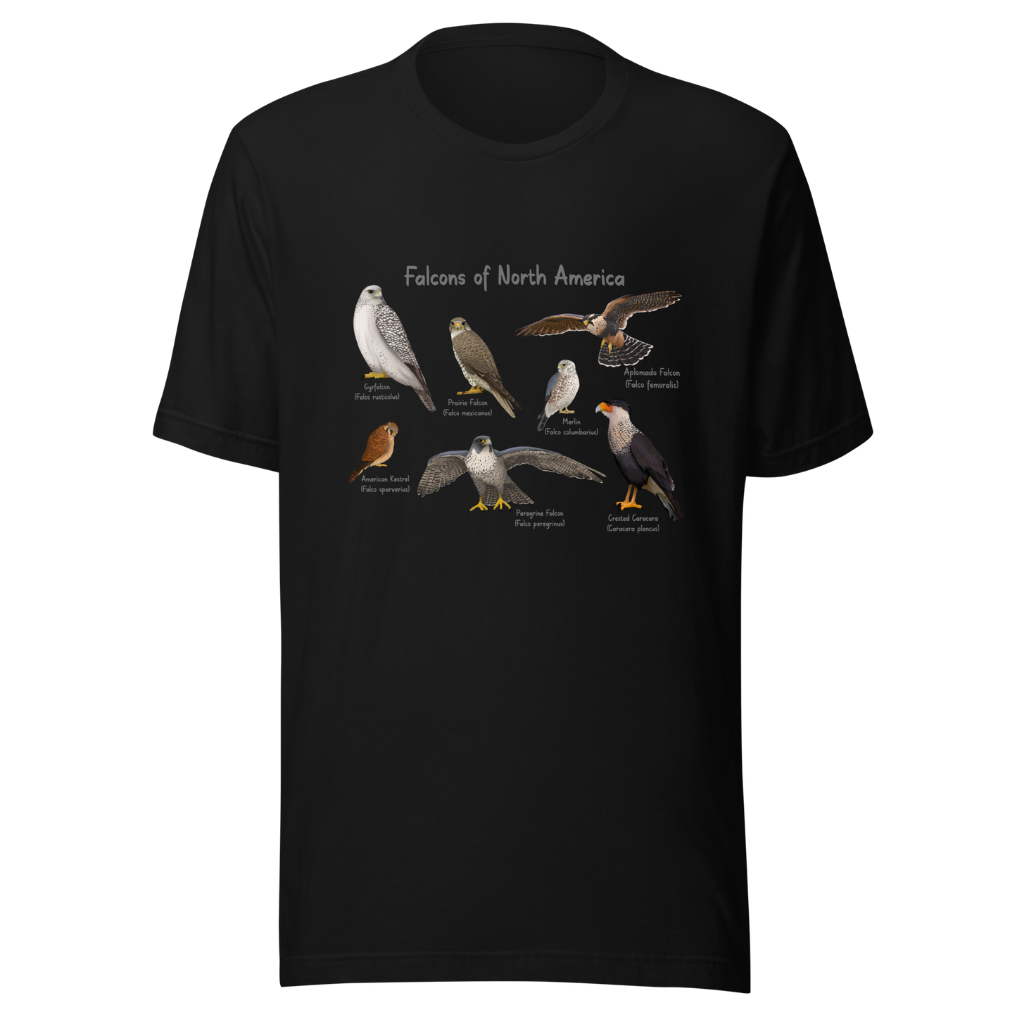 Falcons of North America Tee