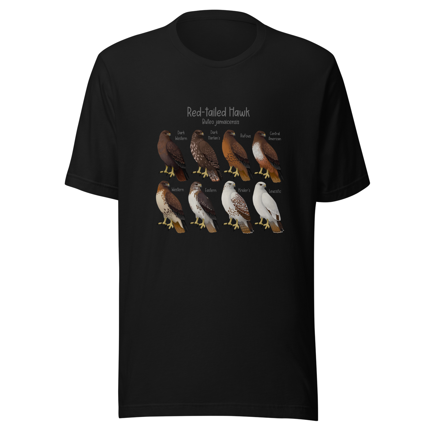 Red-tailed Hawk Morphs Tee