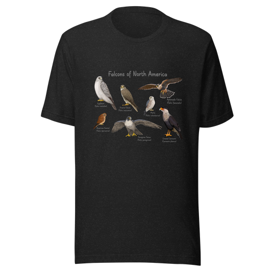 Falcons of North America Tee