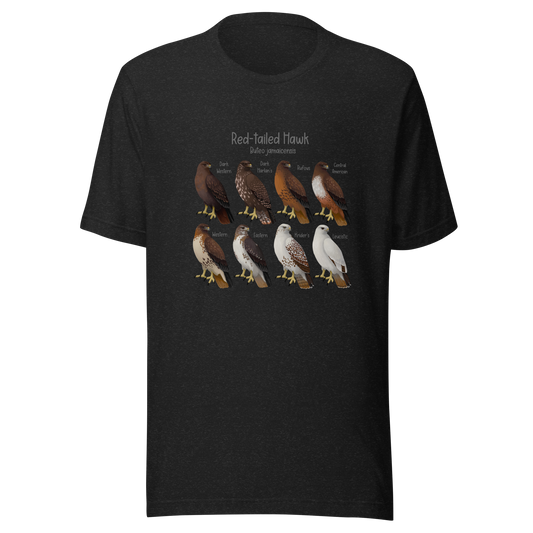 Red-tailed Hawk Morphs Tee