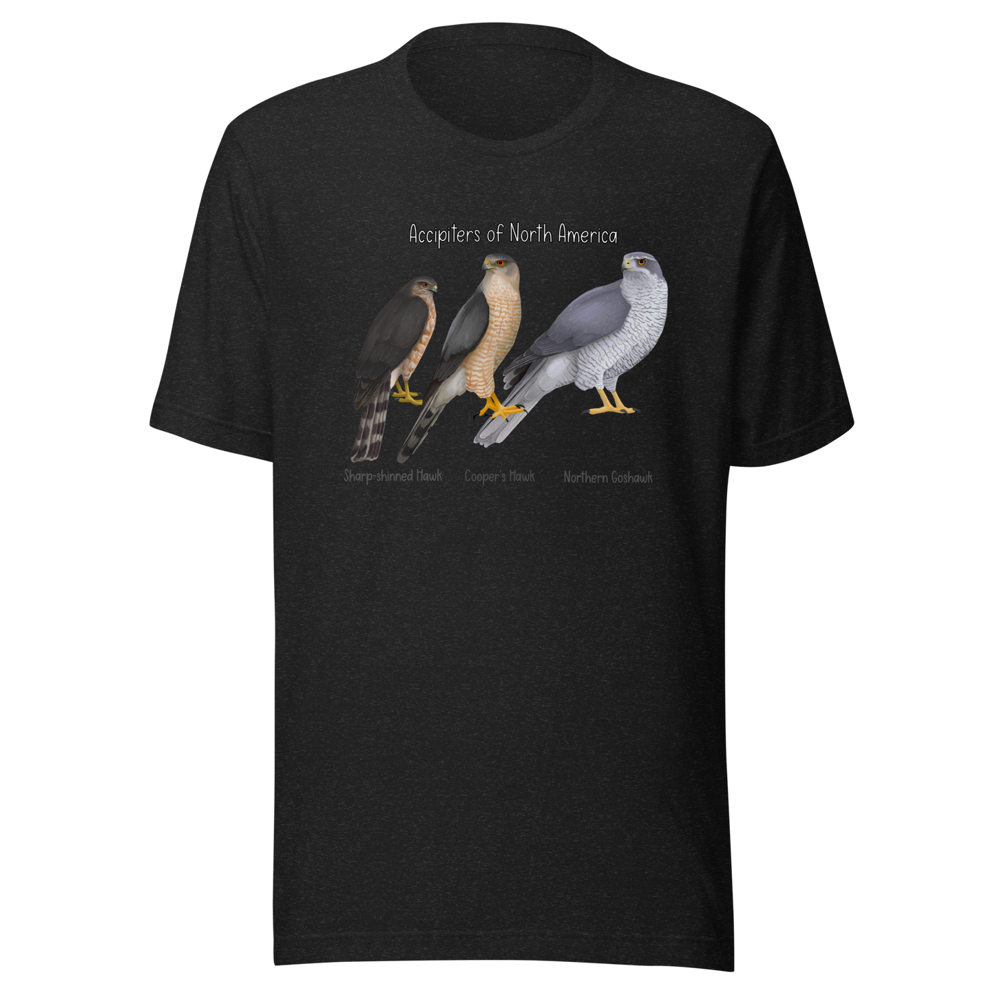 Accipiters of North America Tee