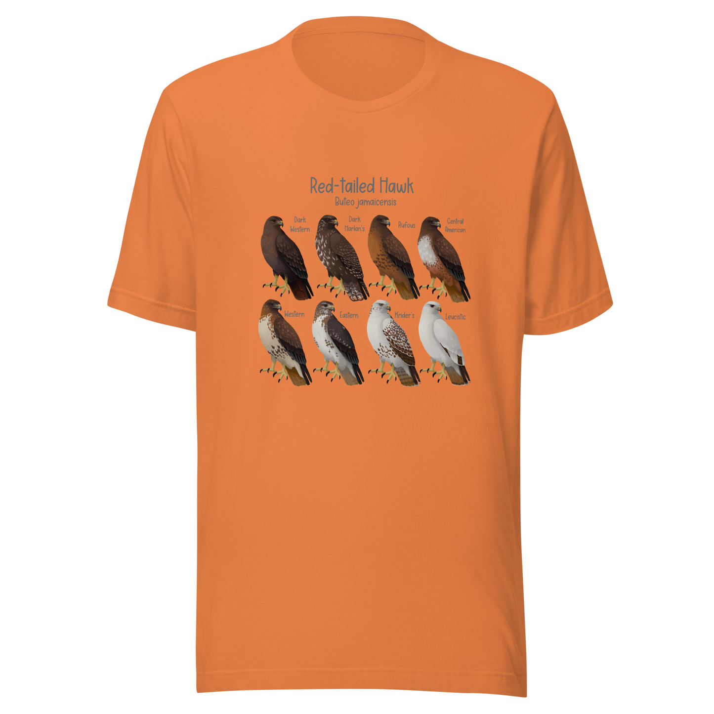 Red-tailed Hawk Morphs Tee