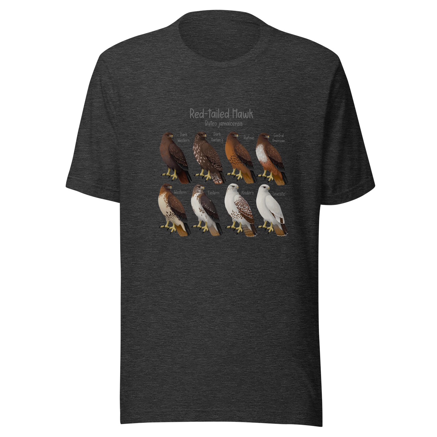 Red-tailed Hawk Morphs Tee