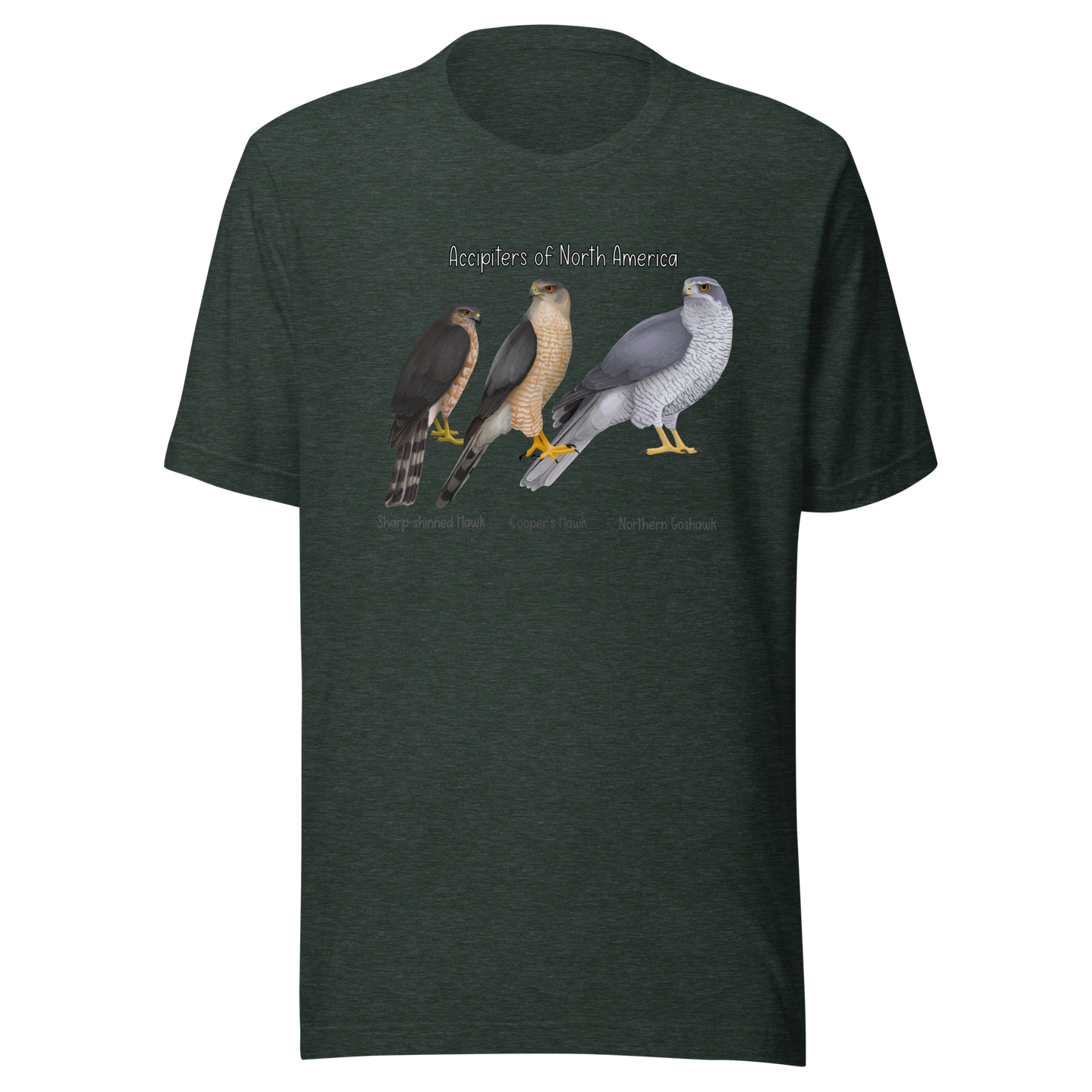 Accipiters of North America Tee