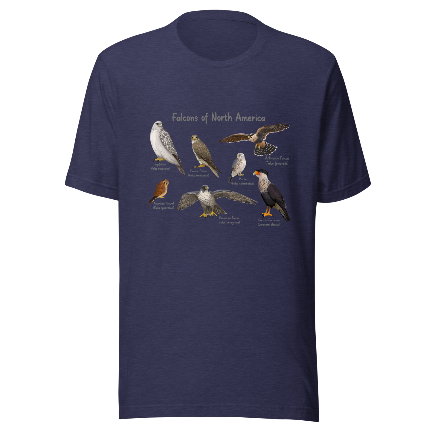 Falcons of North America Tee