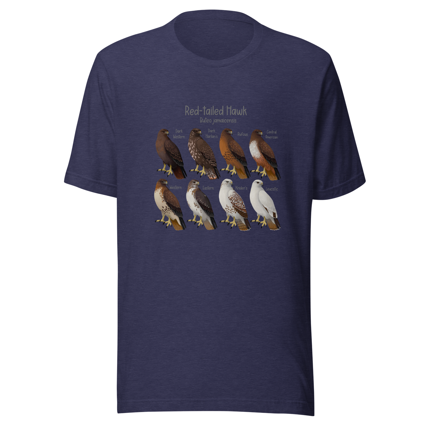 Red-tailed Hawk Morphs Tee