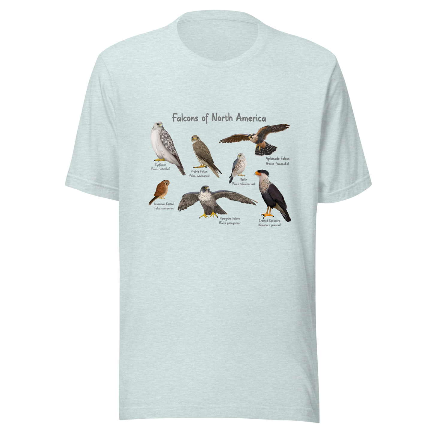 Falcons of North America Tee