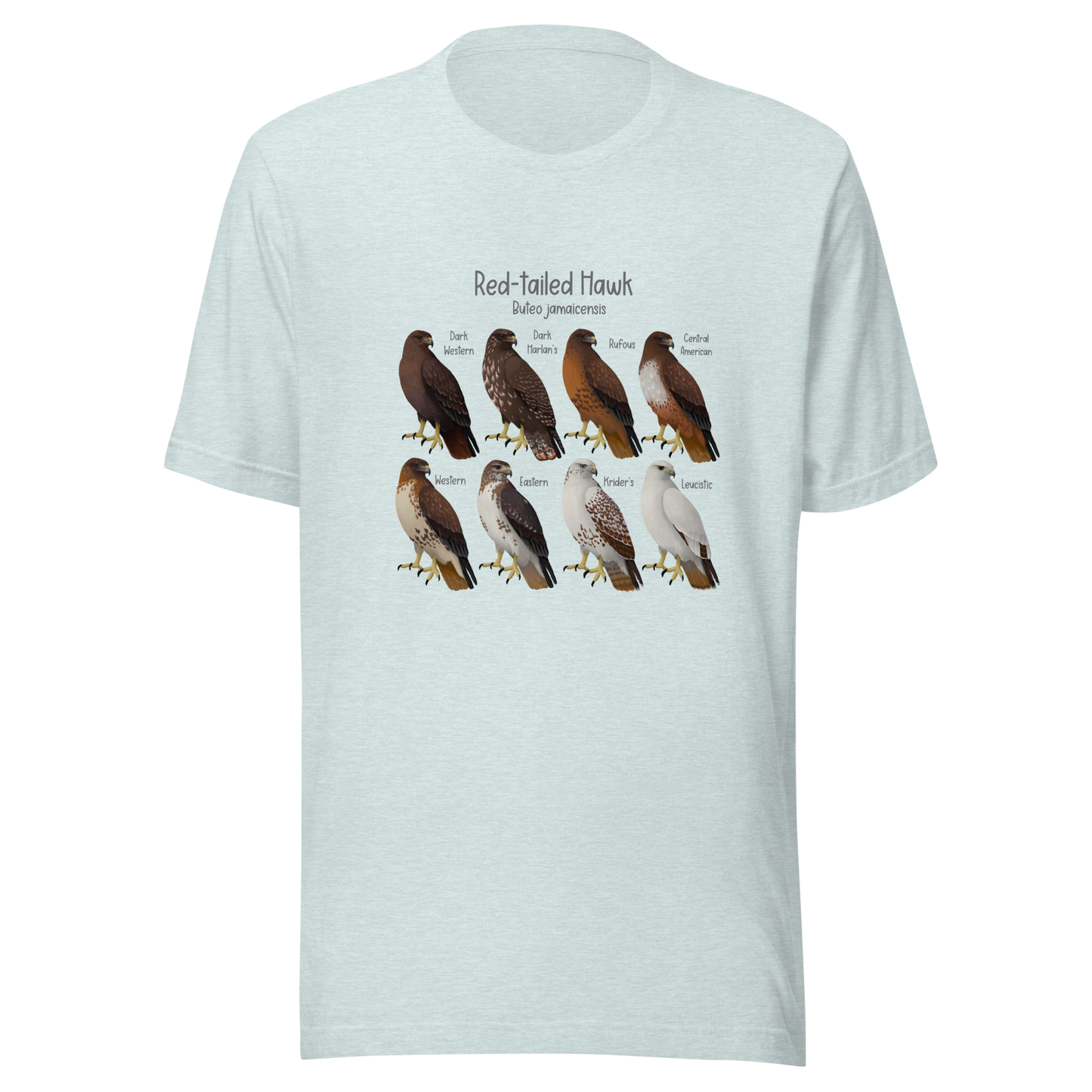 Red-tailed Hawk Morphs Tee