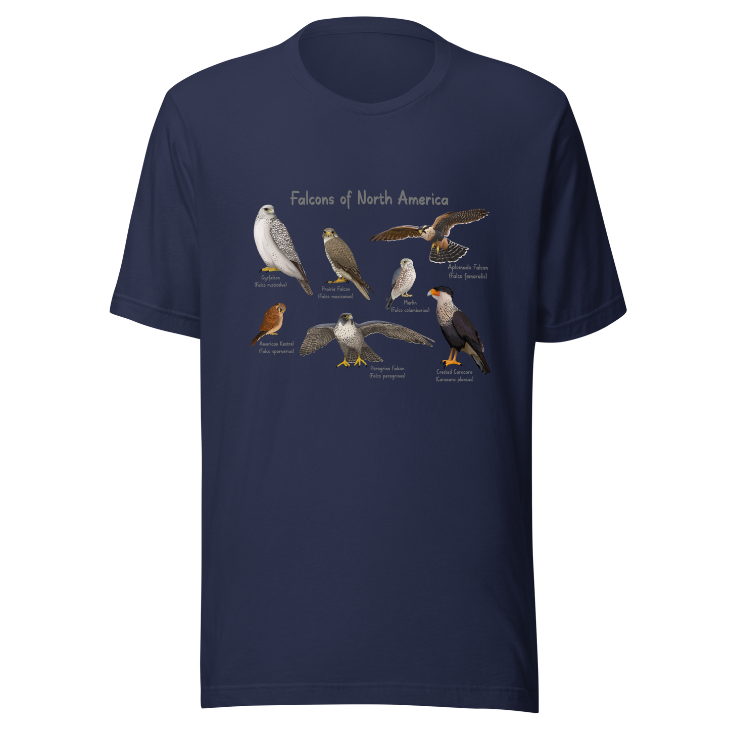 Falcons of North America Tee