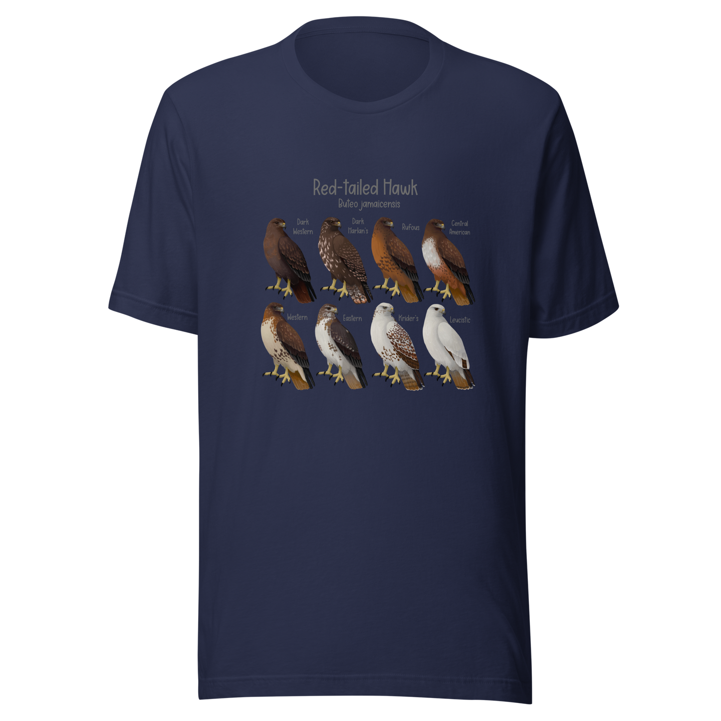 Red-tailed Hawk Morphs Tee