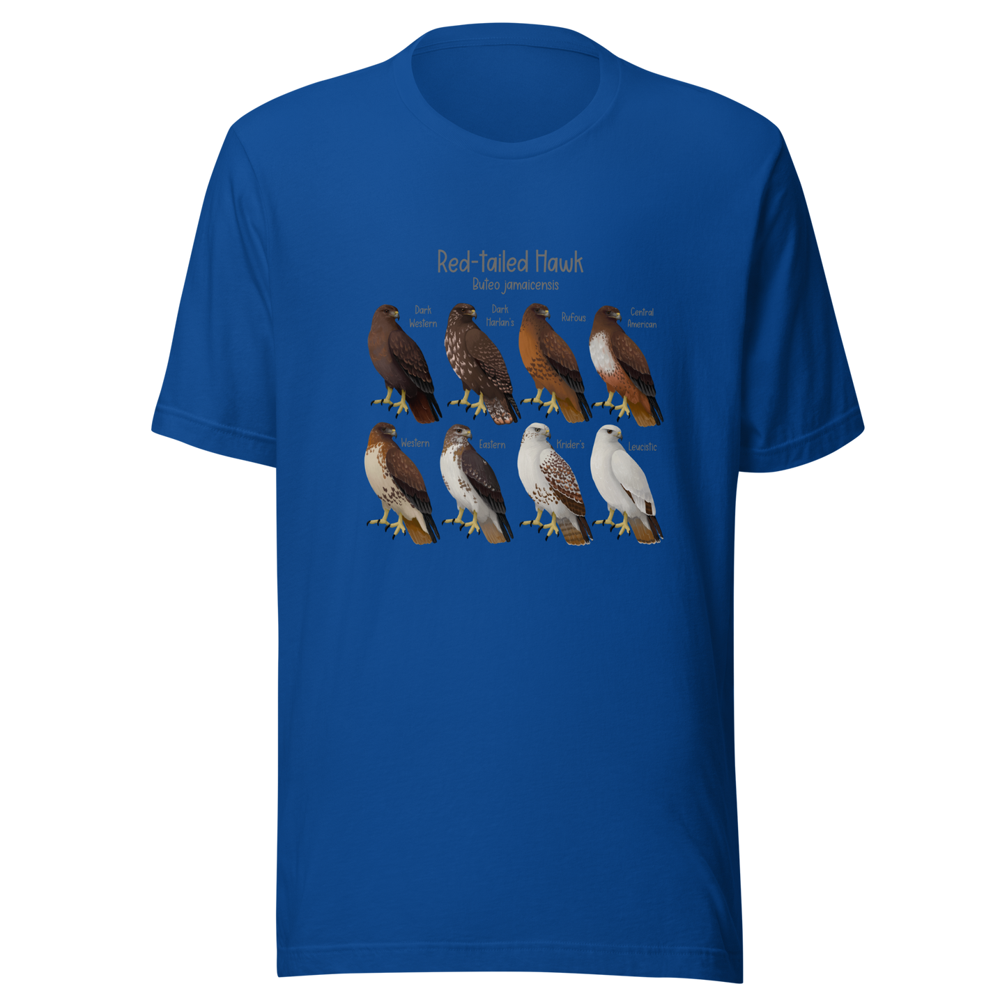 Red-tailed Hawk Morphs Tee