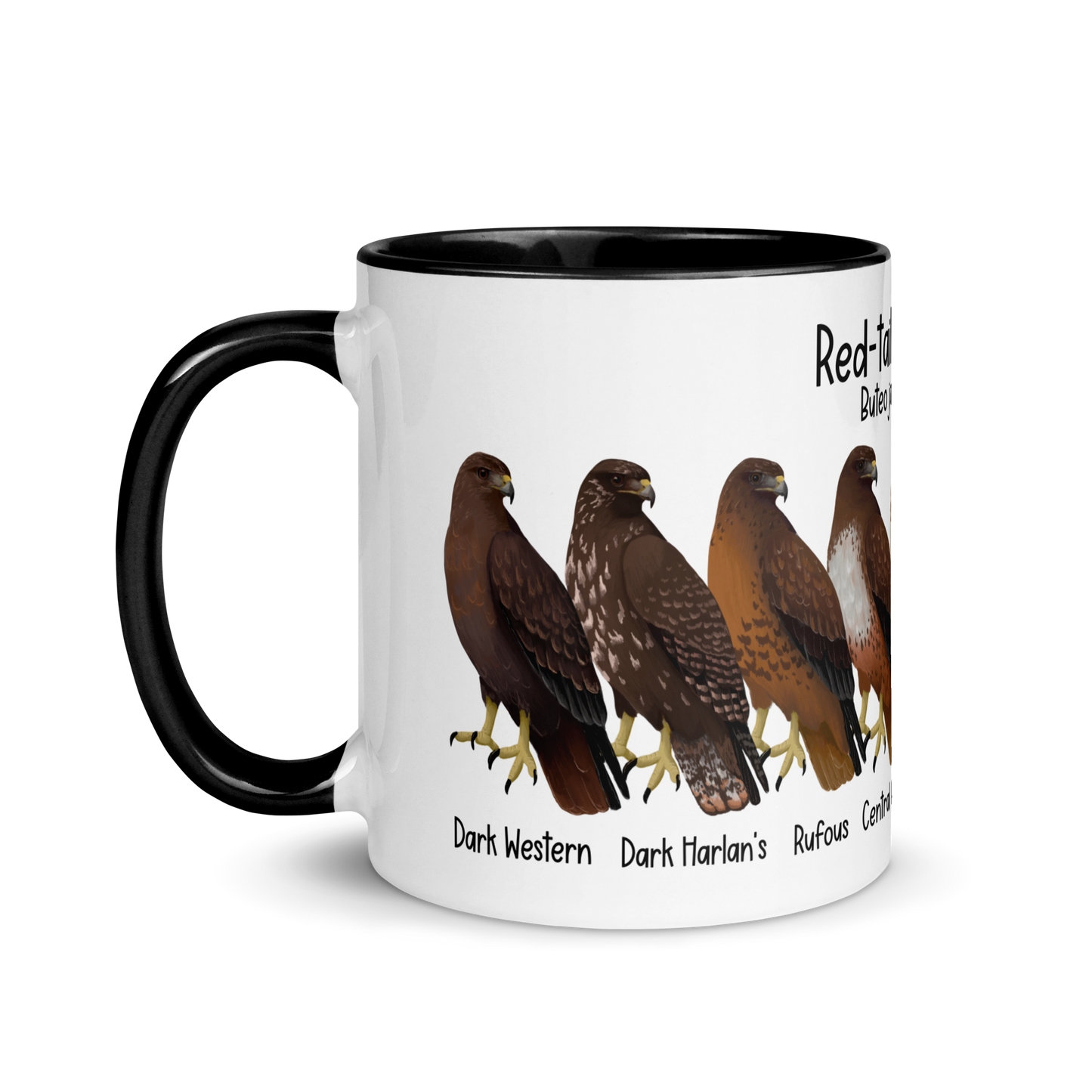 Red-Tailed Hawk Morphs Mug with Color Inside