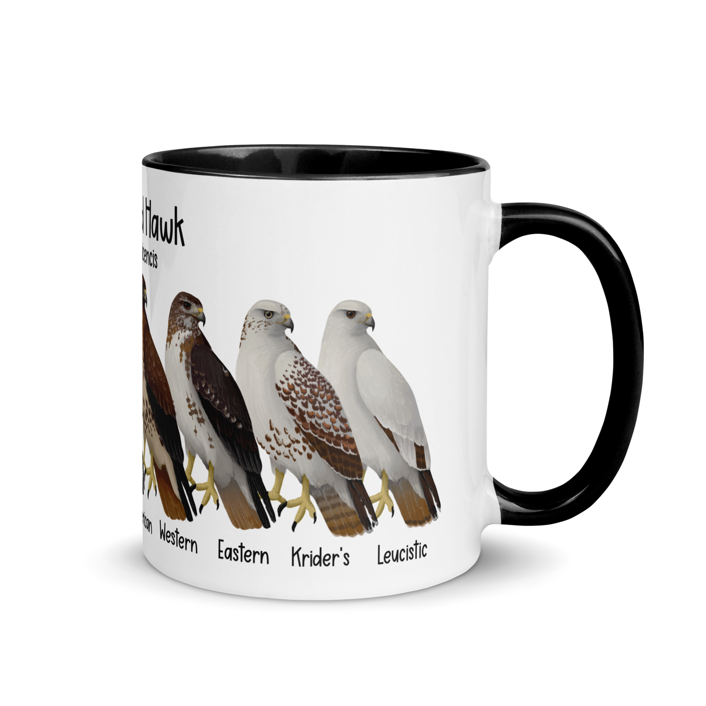 Red-Tailed Hawk Morphs Mug with Color Inside