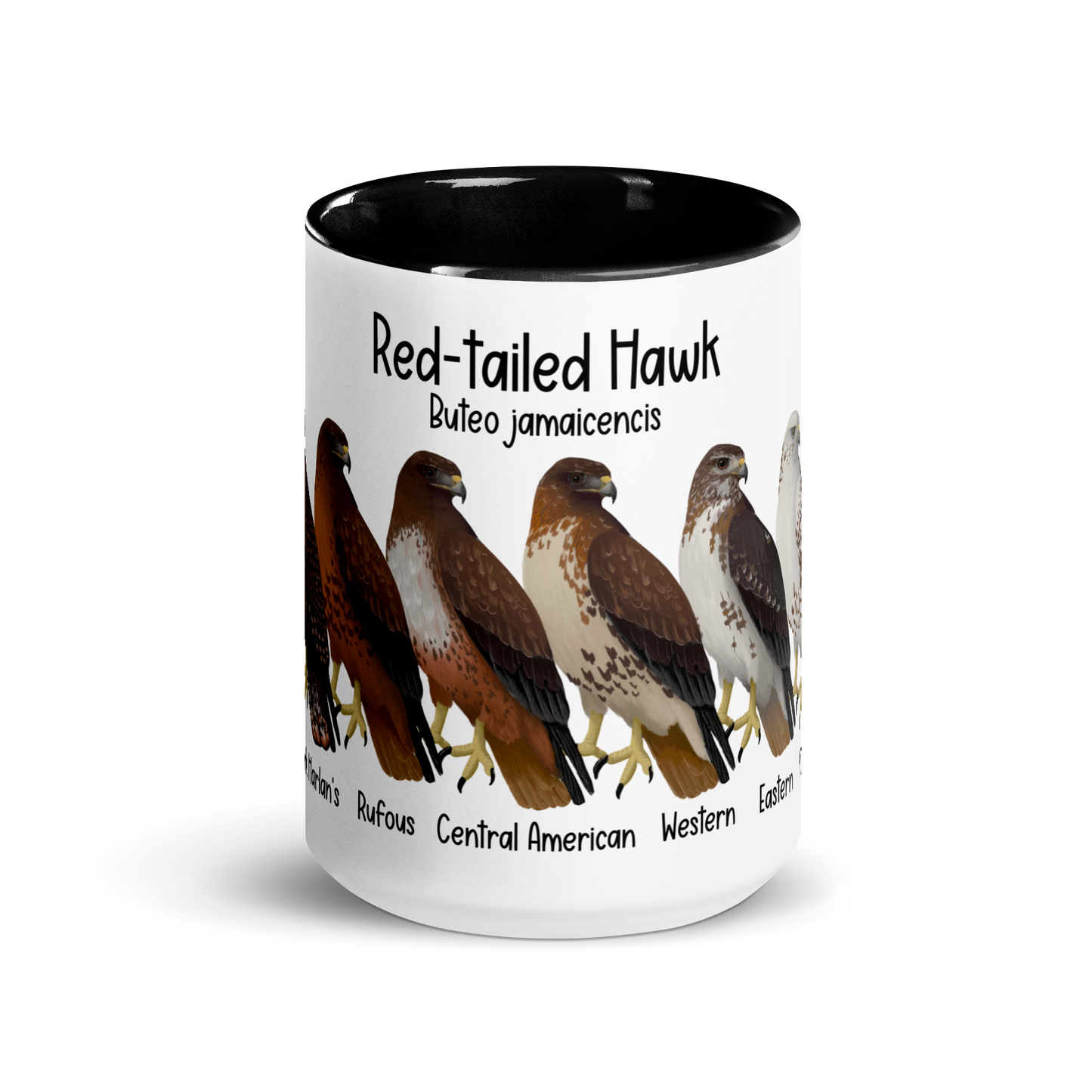 Red-Tailed Hawk Morphs Mug with Color Inside