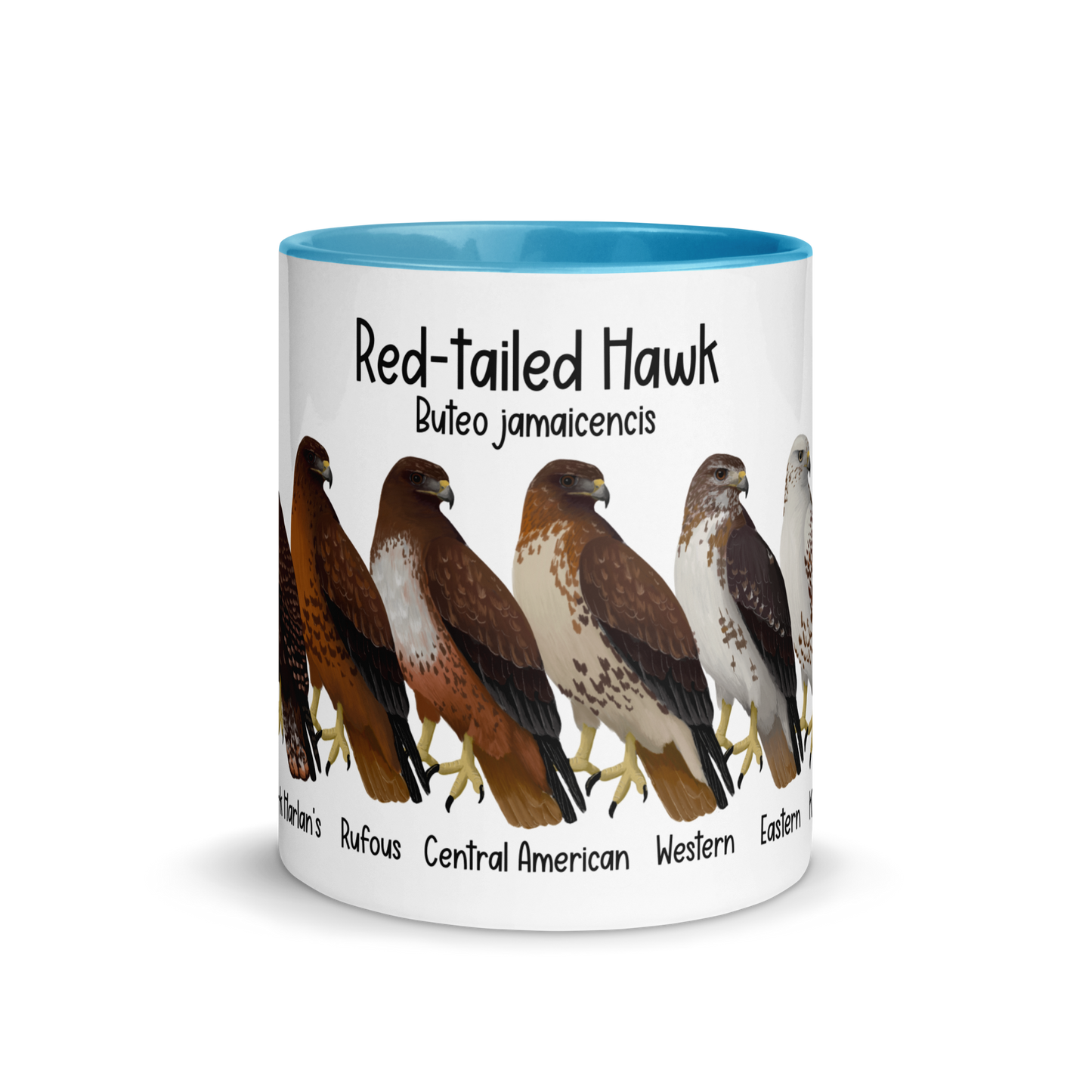 Red-Tailed Hawk Morphs Mug with Color Inside