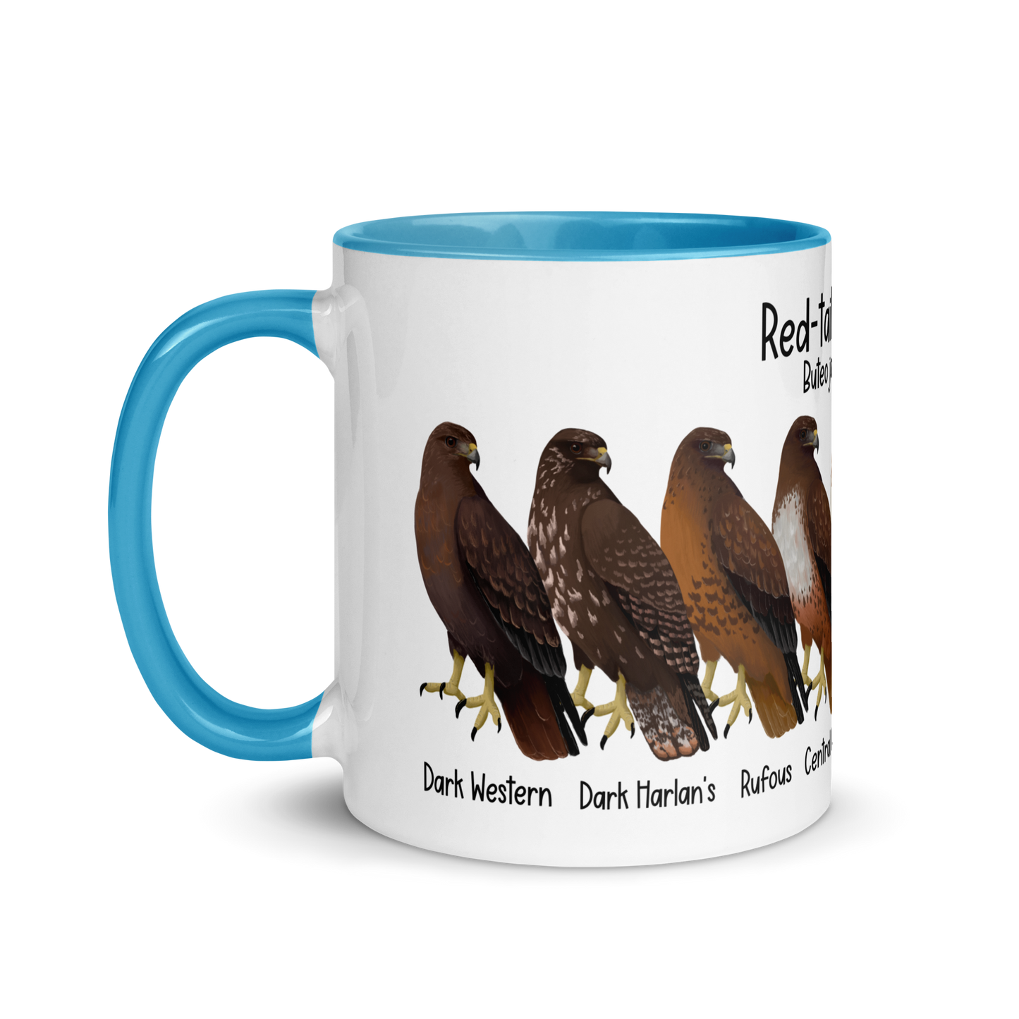 Red-Tailed Hawk Morphs Mug with Color Inside