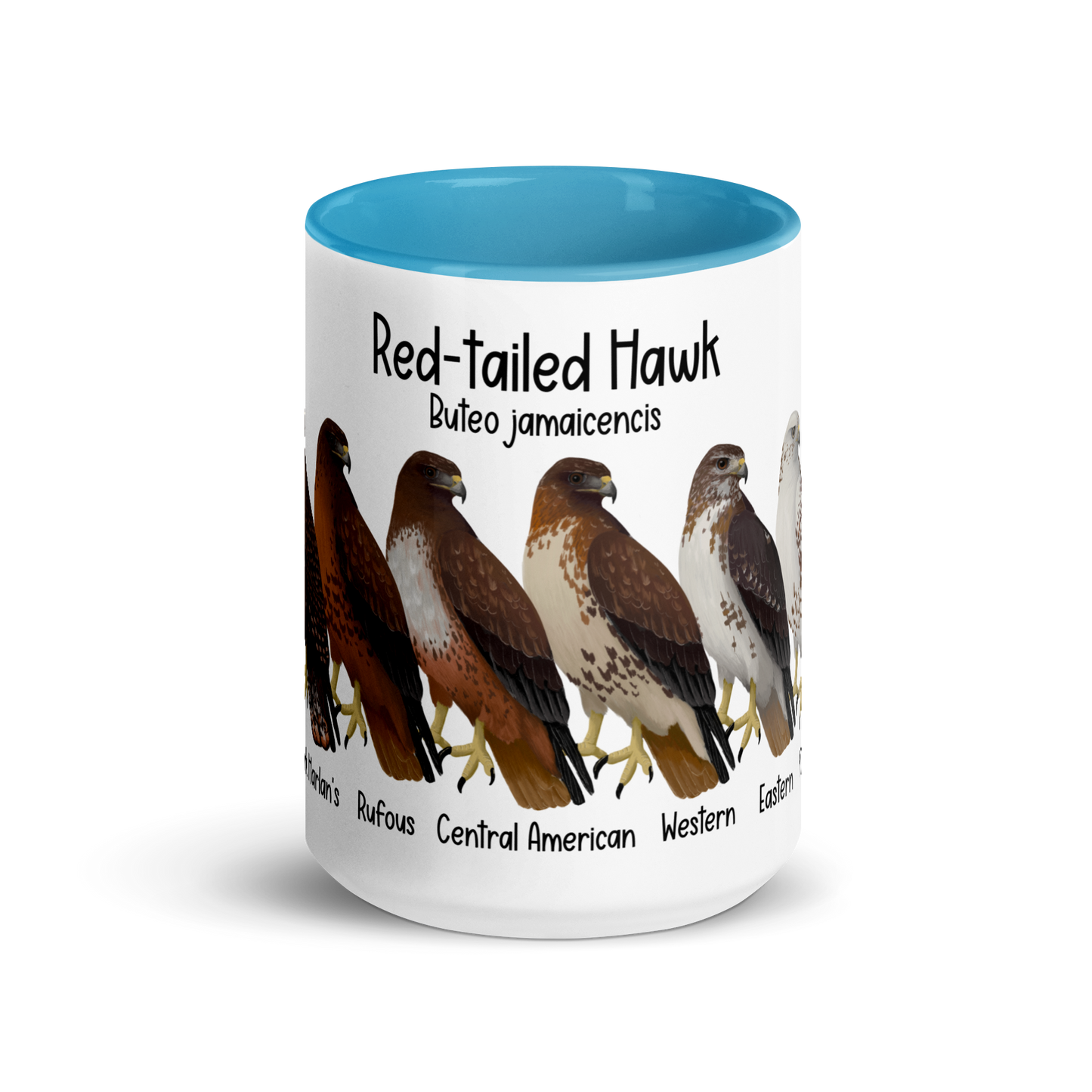 Red-Tailed Hawk Morphs Mug with Color Inside