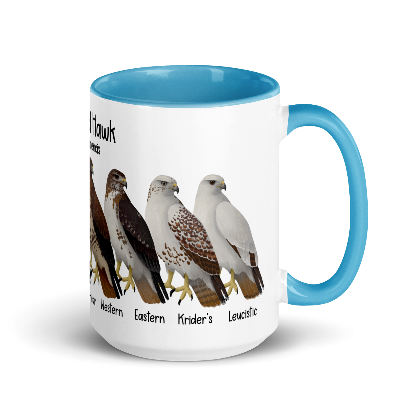 Red-Tailed Hawk Morphs Mug with Color Inside