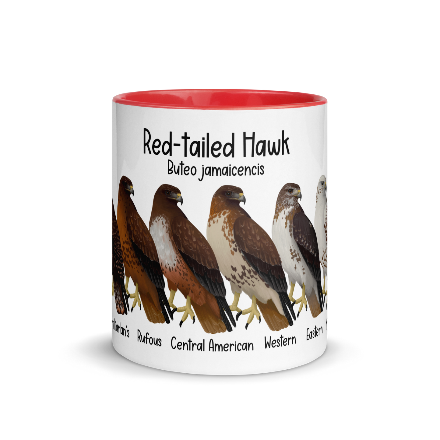 Red-Tailed Hawk Morphs Mug with Color Inside