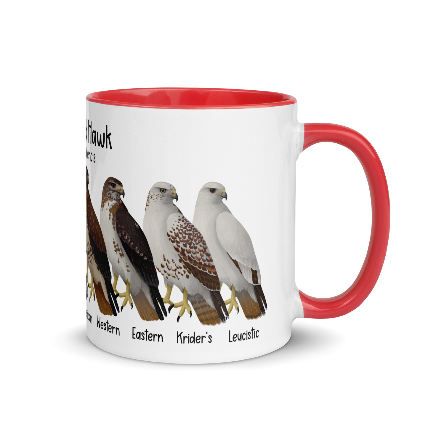 Red-Tailed Hawk Morphs Mug with Color Inside