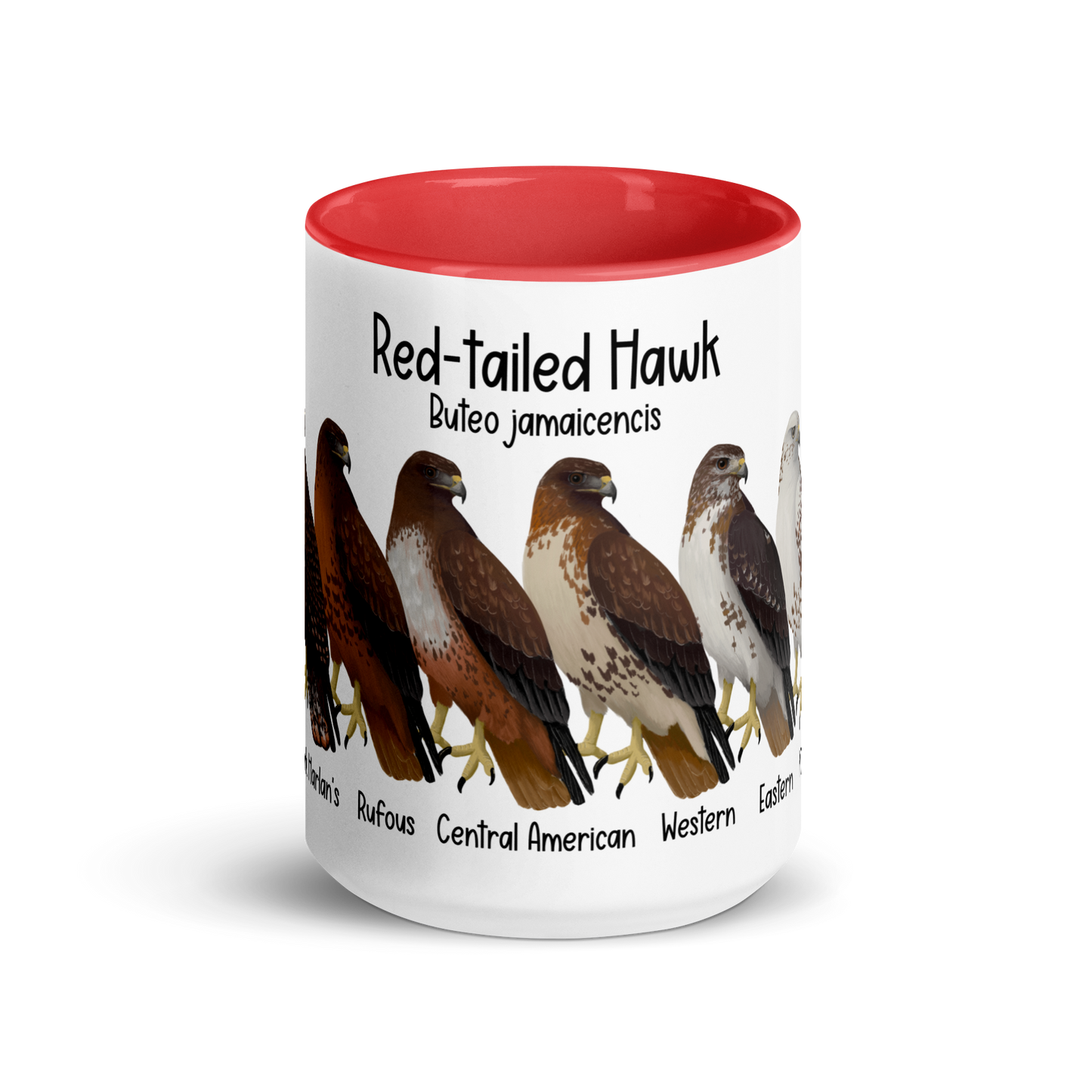 Red-Tailed Hawk Morphs Mug with Color Inside