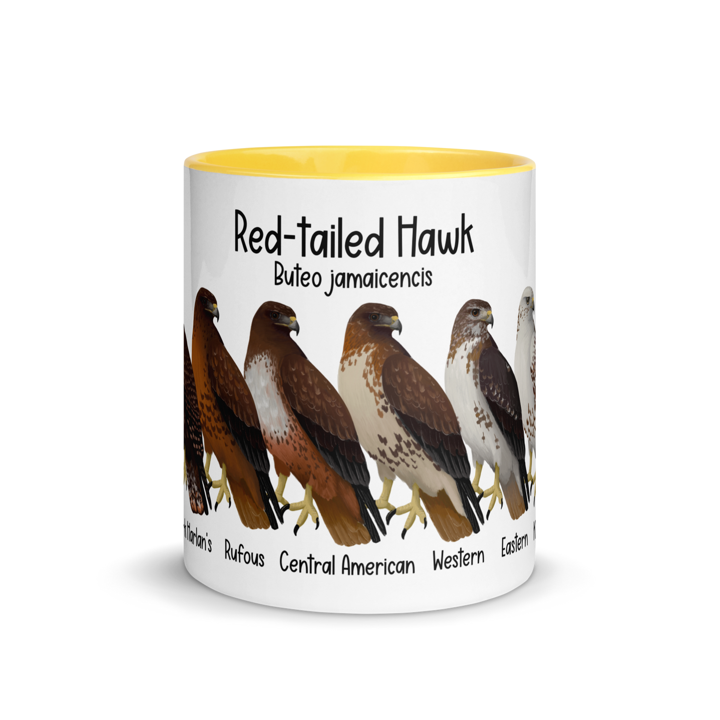 Red-Tailed Hawk Morphs Mug with Color Inside