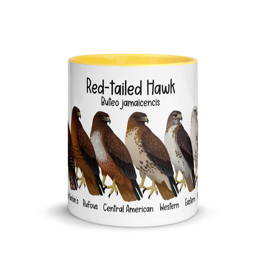 Red-Tailed Hawk Morphs Mug with Color Inside