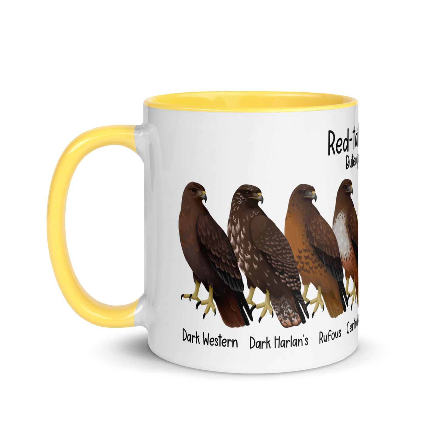 Red-Tailed Hawk Morphs Mug with Color Inside