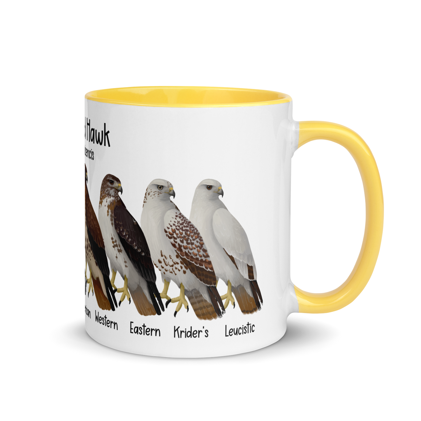 Red-Tailed Hawk Morphs Mug with Color Inside